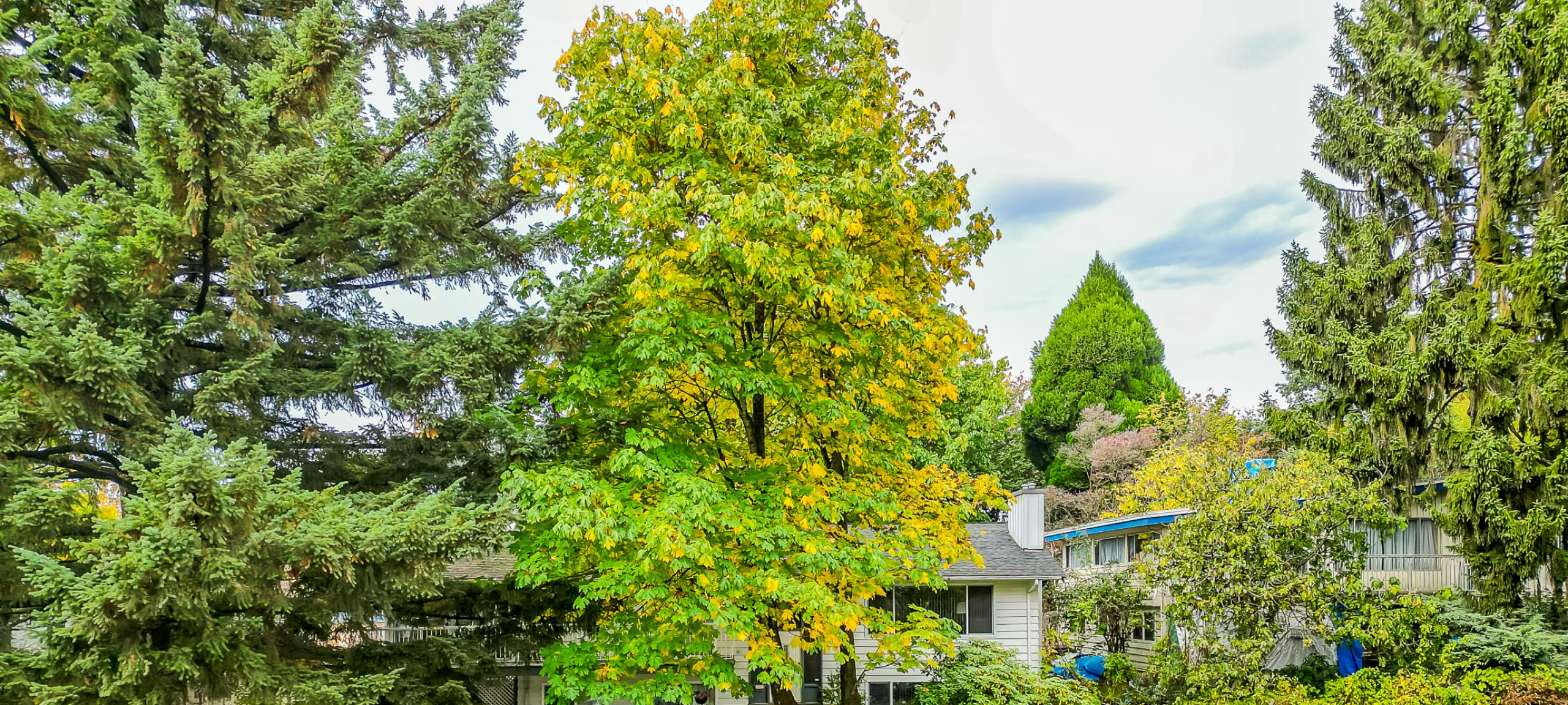 The Heights New Westminster Homes & Condos - MLS Listings For Sale